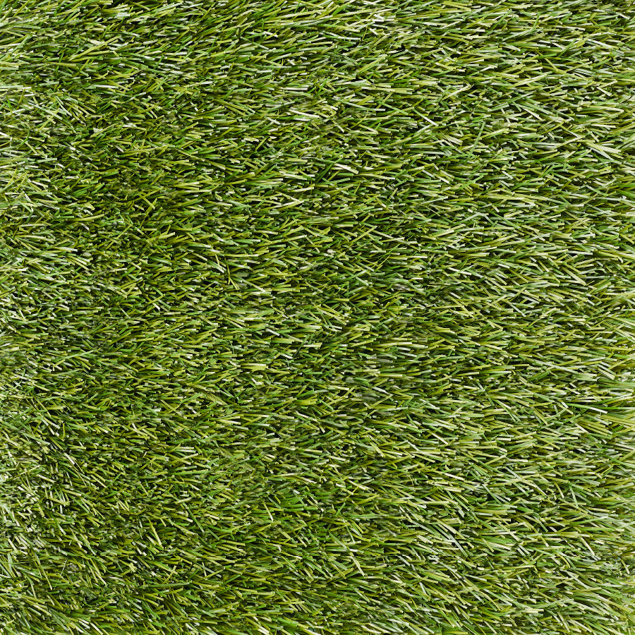 WONDER GRASS LEISURE 30
