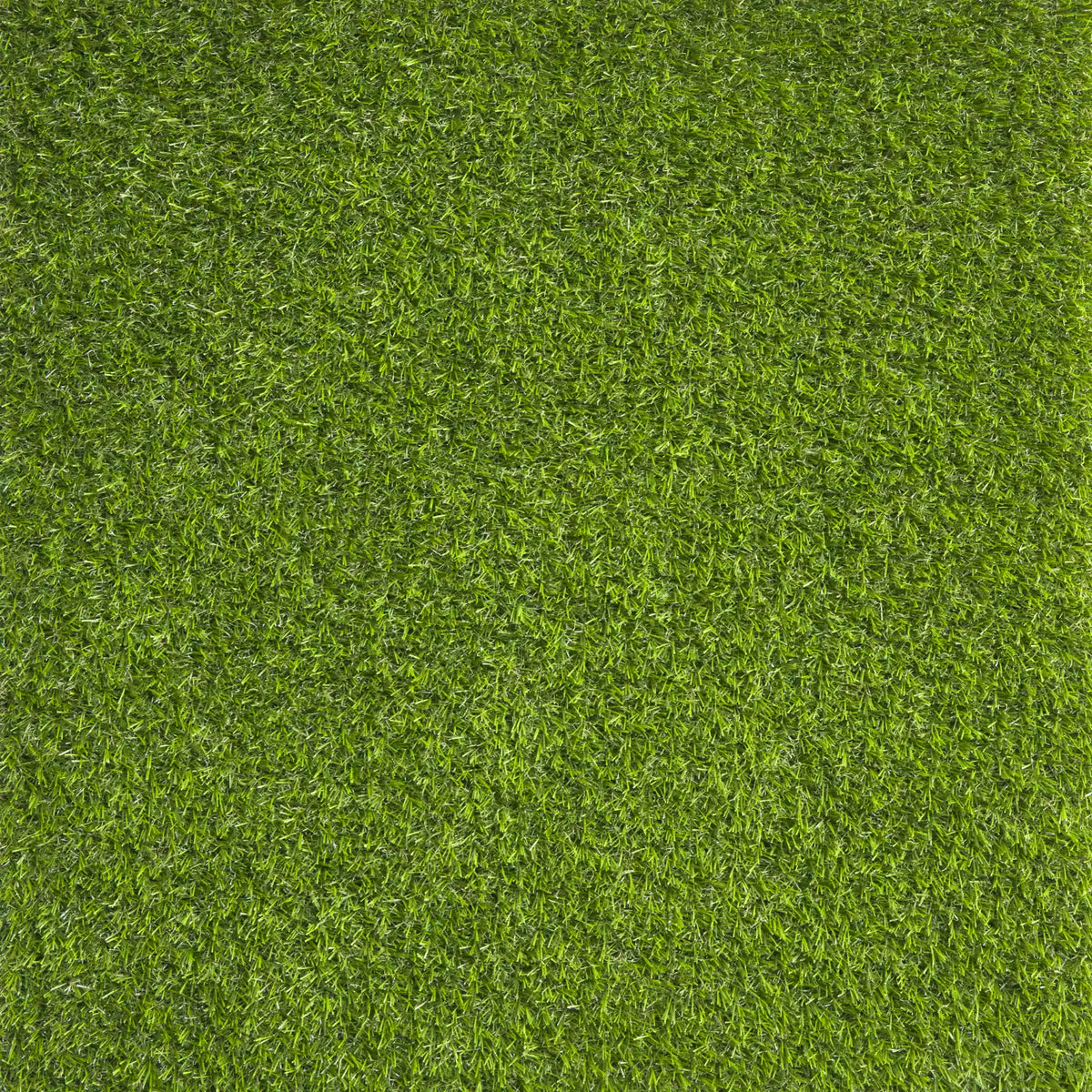 WONDER GRASS SERENE VERNAL 20