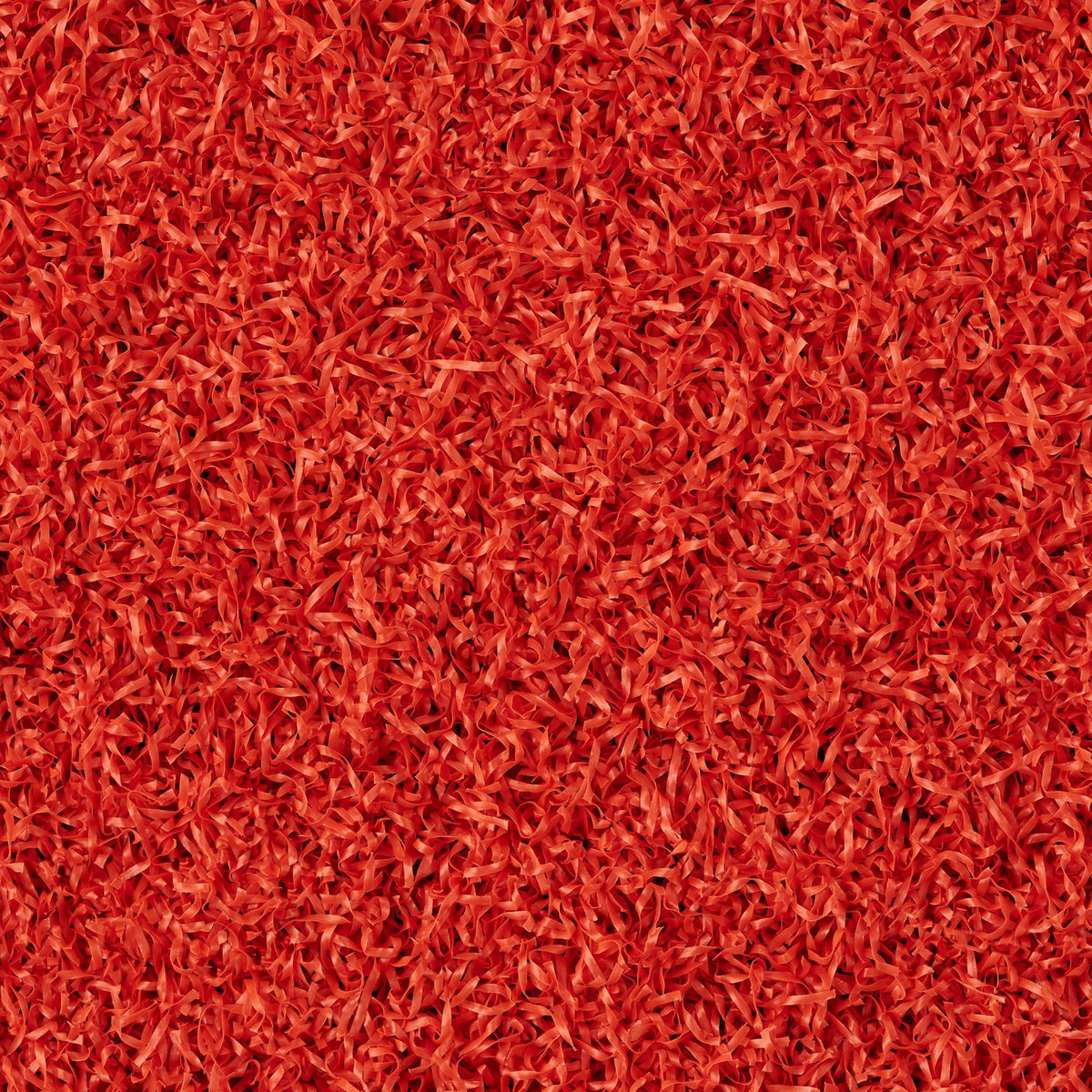 WONDER GRASS COLORGRASS ORANGE