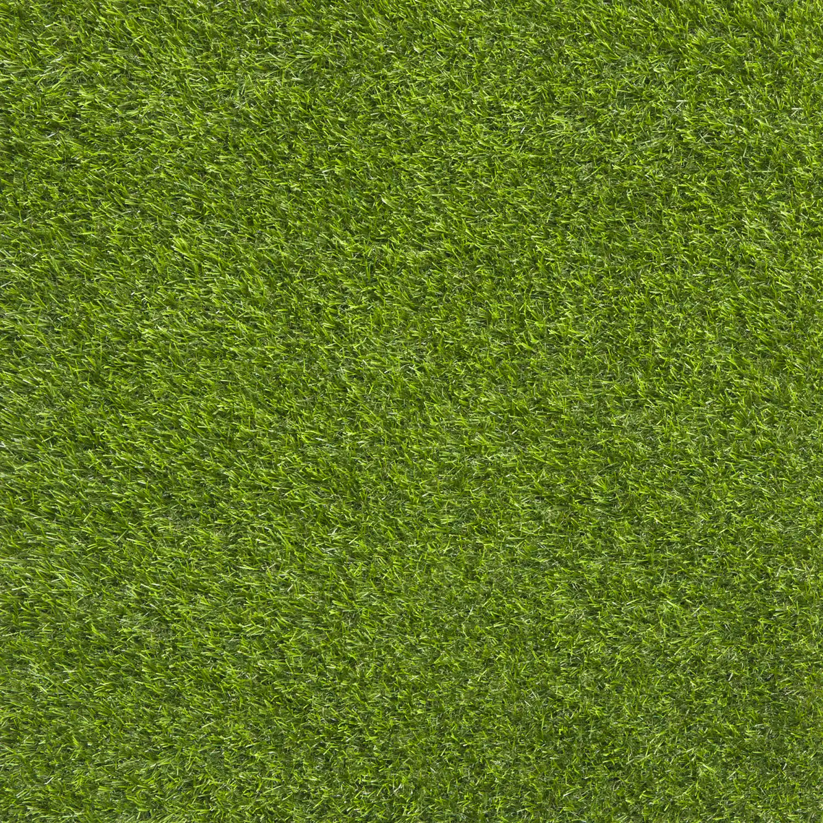 WONDER GRASS SERENE LEA 30MM