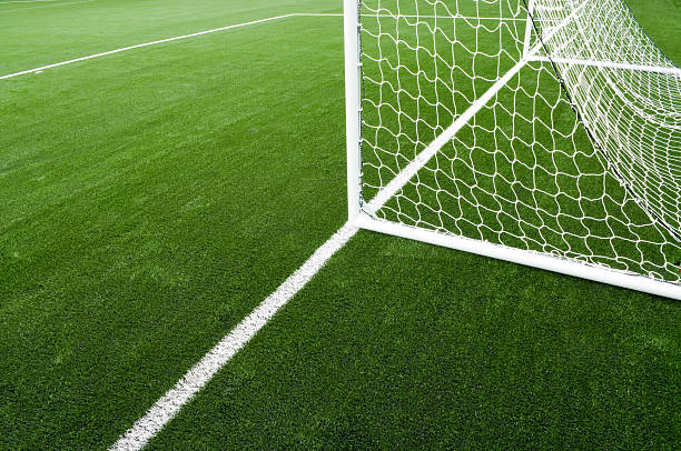 WONDER GRASS SPORT