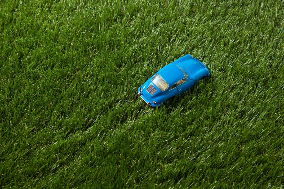 WONDER GRASS LEISURE