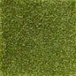 WONDER GRASS LEISURE  20 4.00 LM