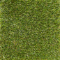 WONDER GRASS LEISURE 25 4.00 LM