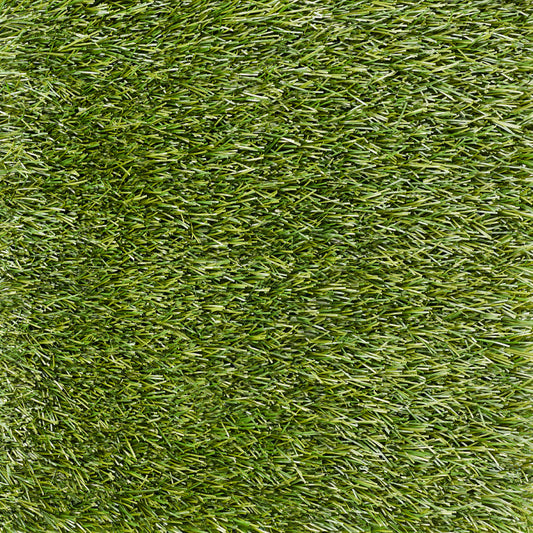 WONDER GRASS LEISURE 30