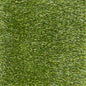 WONDER GRASS LEISURE 30