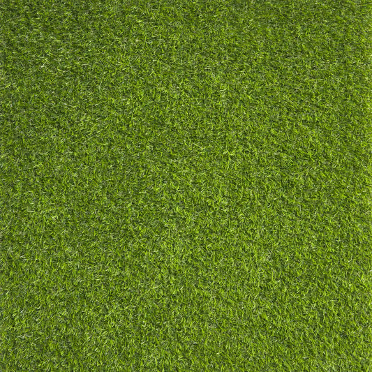 WONDER GRASS SERENE VERNAL 20
