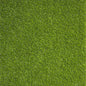 WONDER GRASS SERENE VERNAL 20