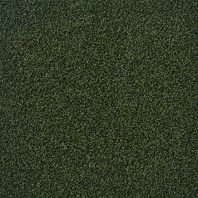 WONDER GRASS PUT EAGLE
